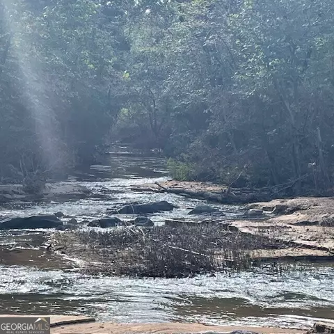 80 Acres Reeves Rd, Roberta, GA 31078 photo 5