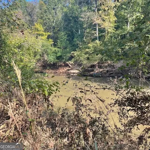 80 Acres Reeves Rd, Roberta, GA 31078 photo 3
