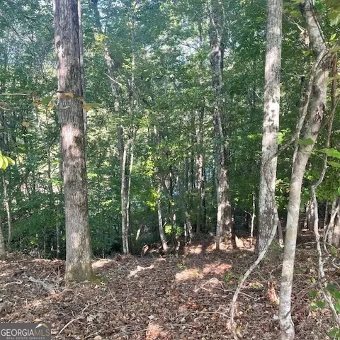 80 Acres Reeves Rd, Roberta, GA 31078 photo 15