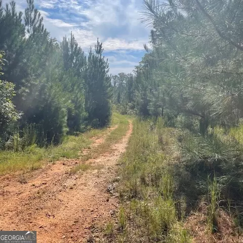 80 Acres Reeves Rd, Roberta, GA 31078 photo 10