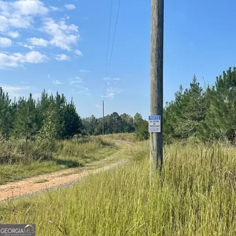 80 Acres Reeves Rd, Roberta, GA 31078 photo 11