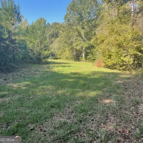 80 Acres Reeves Rd, Roberta, GA 31078 photo 7