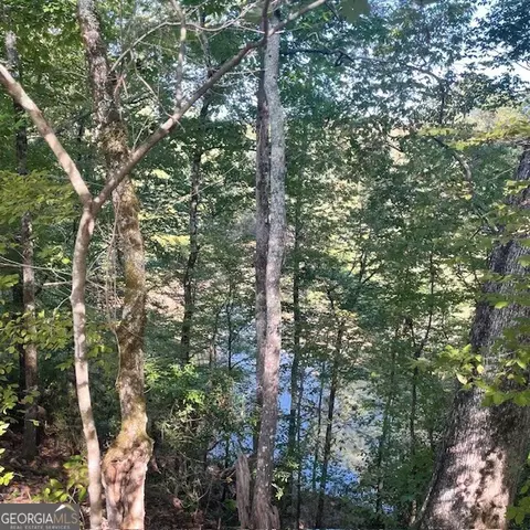 80 Acres Reeves Rd, Roberta, GA 31078 photo 18