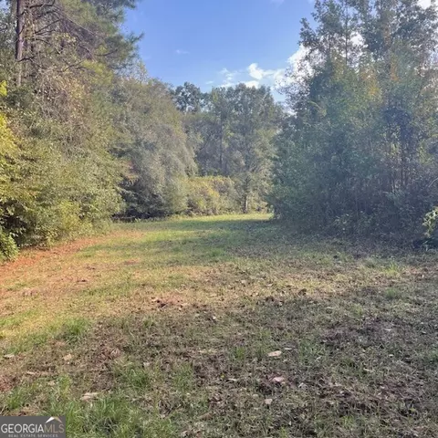 80 Acres Reeves Rd, Roberta, GA 31078 photo 9