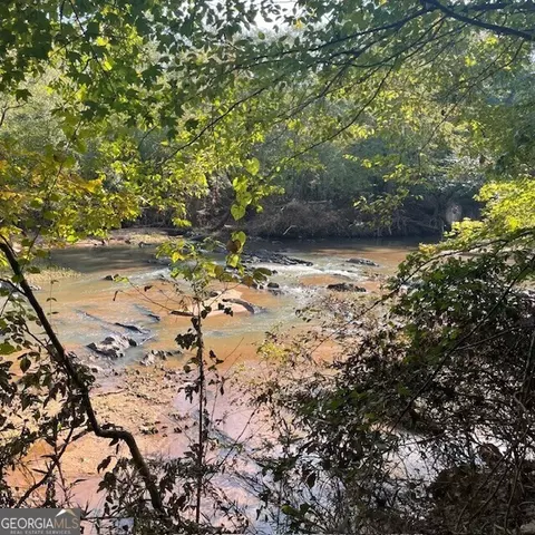 80 Acres Reeves Rd, Roberta, GA 31078 photo 2
