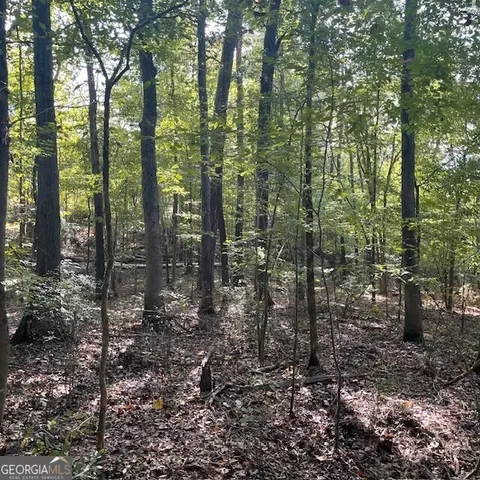 80 Acres Reeves Rd, Roberta, GA 31078 photo 20