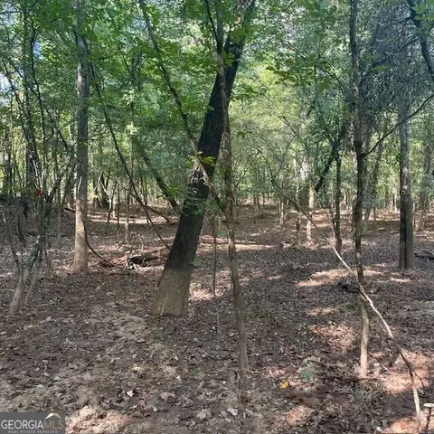 80 Acres Reeves Rd, Roberta, GA 31078 photo 19