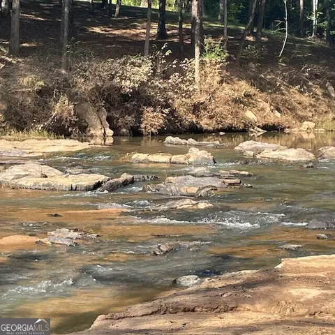 80 Acres Reeves Rd, Roberta, GA 31078 photo 6