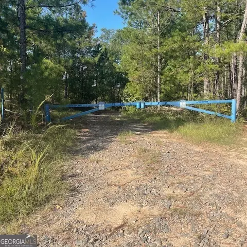 80 Acres Reeves Rd, Roberta, GA 31078 photo 8