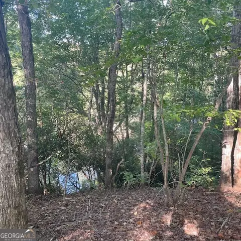 80 Acres Reeves Rd, Roberta, GA 31078 photo 16