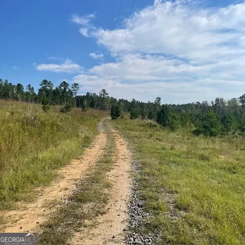 80 Acres Reeves Rd, Roberta, GA 31078 photo 12