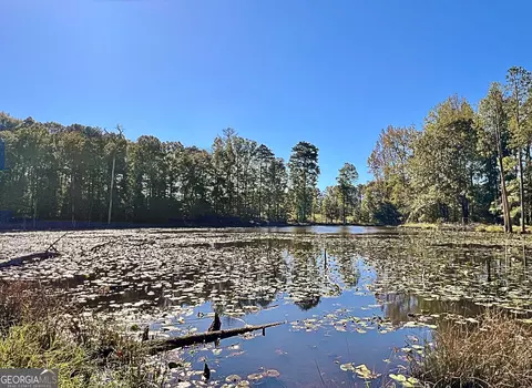 View/Area - 14360 Woolsey Rd #TRACTS 6-10, Hampton, GA 30228 photo 4 of 11