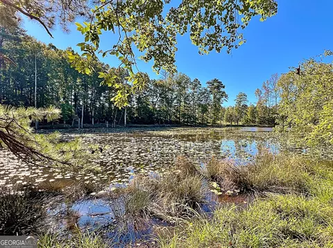 View/Area - 14360 Woolsey Rd #TRACTS 6-10, Hampton, GA 30228 photo 2 of 11