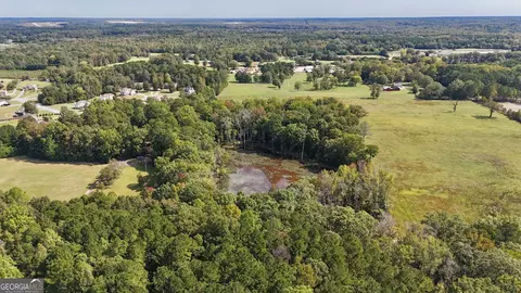 View/Area - 14360 Woolsey Rd #TRACTS 6-10, Hampton, GA 30228 photo 7 of 11