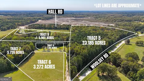 Other - 14360 Woolsey Rd #TRACTS 6-10, Hampton, GA 30228 photo 1 of 30