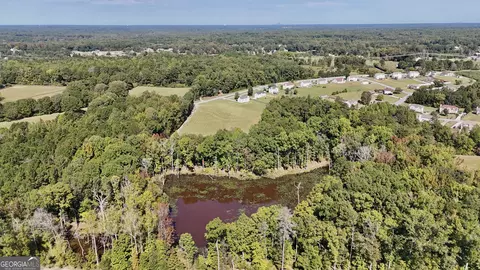 View/Area - 14360 Woolsey Rd #TRACTS 6-10, Hampton, GA 30228 photo 10 of 11