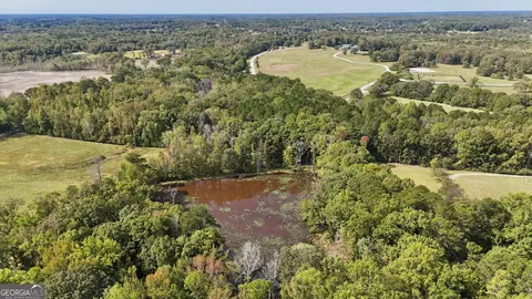 View/Area - 14360 Woolsey Rd #TRACTS 6-10, Hampton, GA 30228 photo 6 of 11