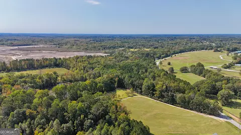Other - 14360 Woolsey Rd #TRACTS 6-10, Hampton, GA 30228 photo 27 of 30