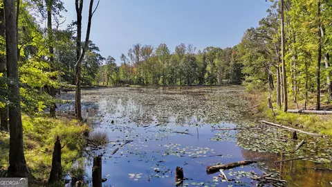 View/Area - 14360 Woolsey Rd #TRACTS 6-10, Hampton, GA 30228 photo 11 of 11