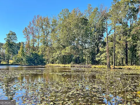 View/Area - 14360 Woolsey Rd #TRACTS 6-10, Hampton, GA 30228 photo 3 of 11