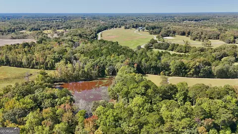 View/Area - 14360 Woolsey Rd #TRACTS 6-10, Hampton, GA 30228 photo 5 of 11