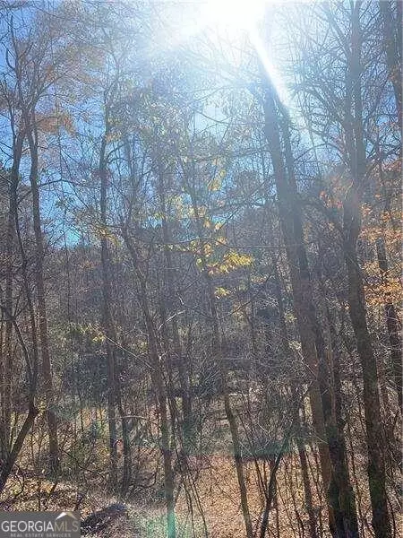 0 Sulphur Springs Rd, Fairmount, GA 30139