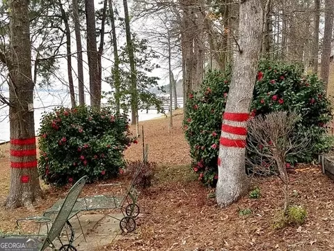 202 Pebble Shores Dr, Georgetown, GA 39854 photo 21