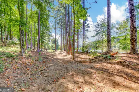 3352 Highway 20 W, Hampton, GA 30228 photo 60