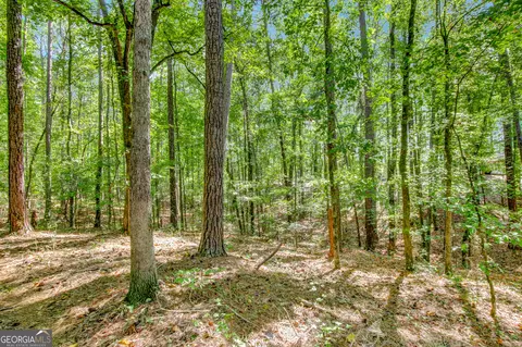 3352 Highway 20 W, Hampton, GA 30228 photo 59