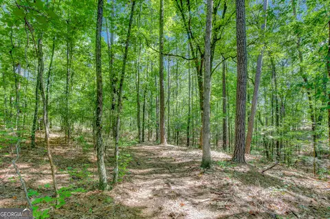 3352 Highway 20 W, Hampton, GA 30228 photo 58