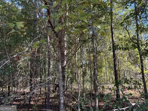 2125 N Highway 441, Dublin, GA 31021