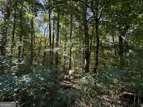 0 Higgins Rd, Jackson, GA 30233 photo 8