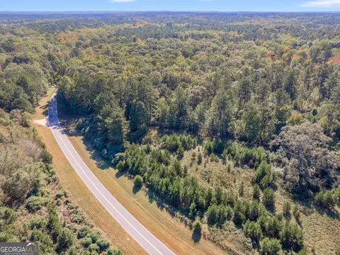 0 Higgins Rd, Jackson, GA 30233 photo 14