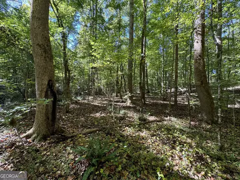 0 Higgins Rd, Jackson, GA 30233 photo 6