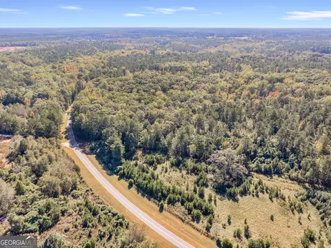 0 Higgins Rd, Jackson, GA 30233 photo 12