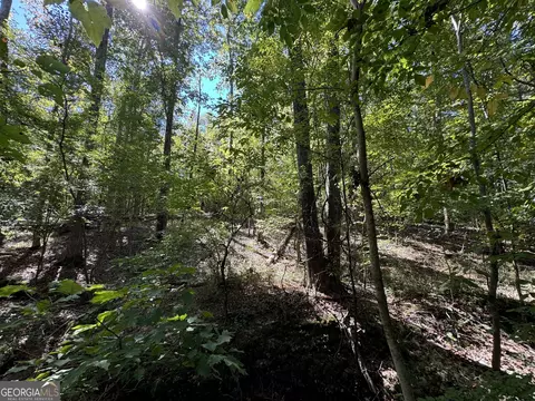 0 Higgins Rd, Jackson, GA 30233 photo 4