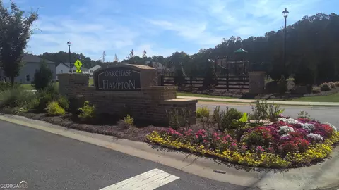 130 Oakchase Park Ln, Hampton, GA 30228 photo 46