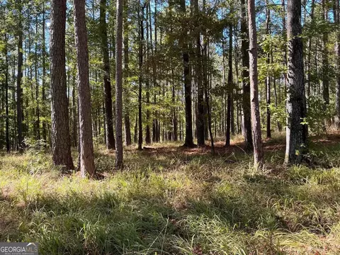 2371 Club Dr, Greensboro, GA 30642