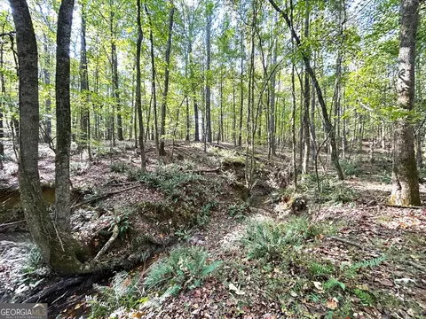 1650 Comer Rd, Comer, GA 30629 photo 50