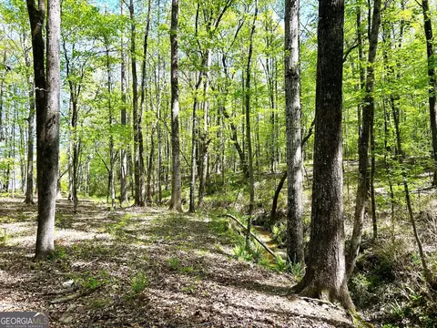 1650 Comer Rd, Comer, GA 30629 photo 52