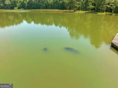 View/Area - 655 Mcdonough Rd, Hampton, GA 30228 photo 22 of 27