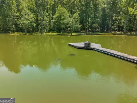 View/Area - 655 Mcdonough Rd, Hampton, GA 30228 photo 19 of 27