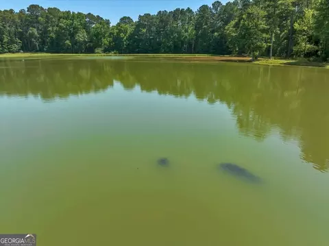 View/Area - 655 Mcdonough Rd, Hampton, GA 30228 photo 23 of 27