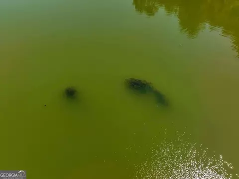 View/Area - 655 Mcdonough Rd, Hampton, GA 30228 photo 21 of 27