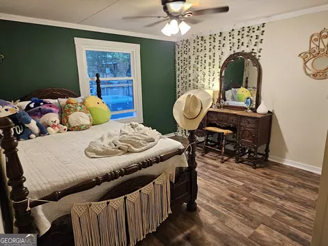 37 Allred Rd, Buchanan, GA 30113 photo 22