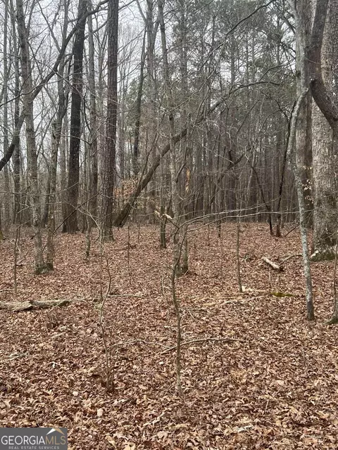 0 Joe Stephens Rd, Franklin, GA 30217 photo 2