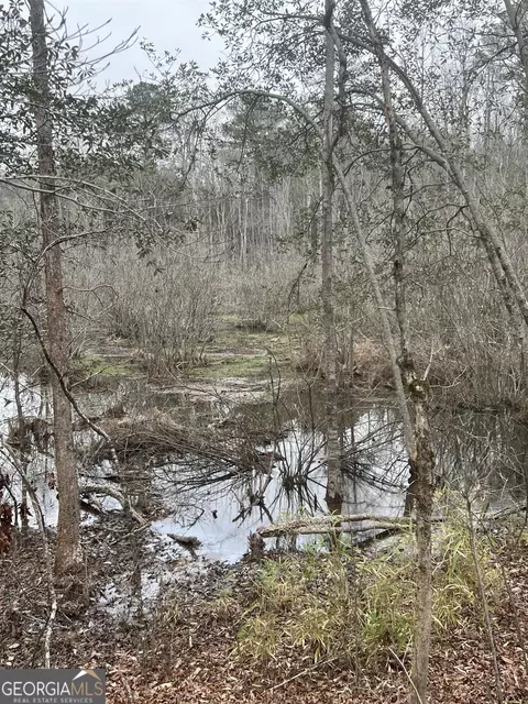 0 Joe Stephens Rd, Franklin, GA 30217 photo 8