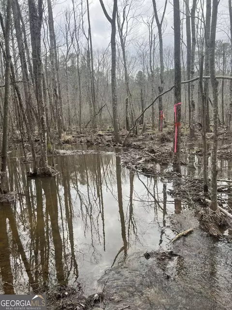0 Joe Stephens Rd, Franklin, GA 30217 photo 5