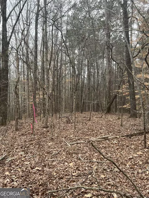 0 Joe Stephens Rd, Franklin, GA 30217 photo 3