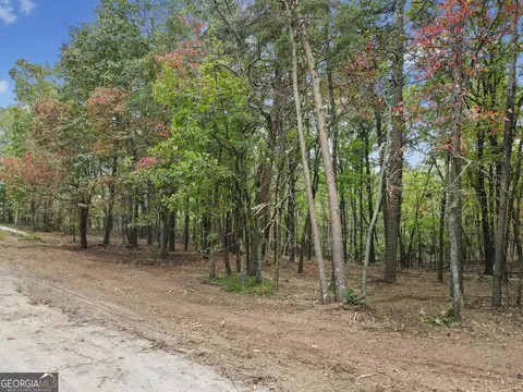 302 Oak Trce E, Jasper, GA 30143 photo 4